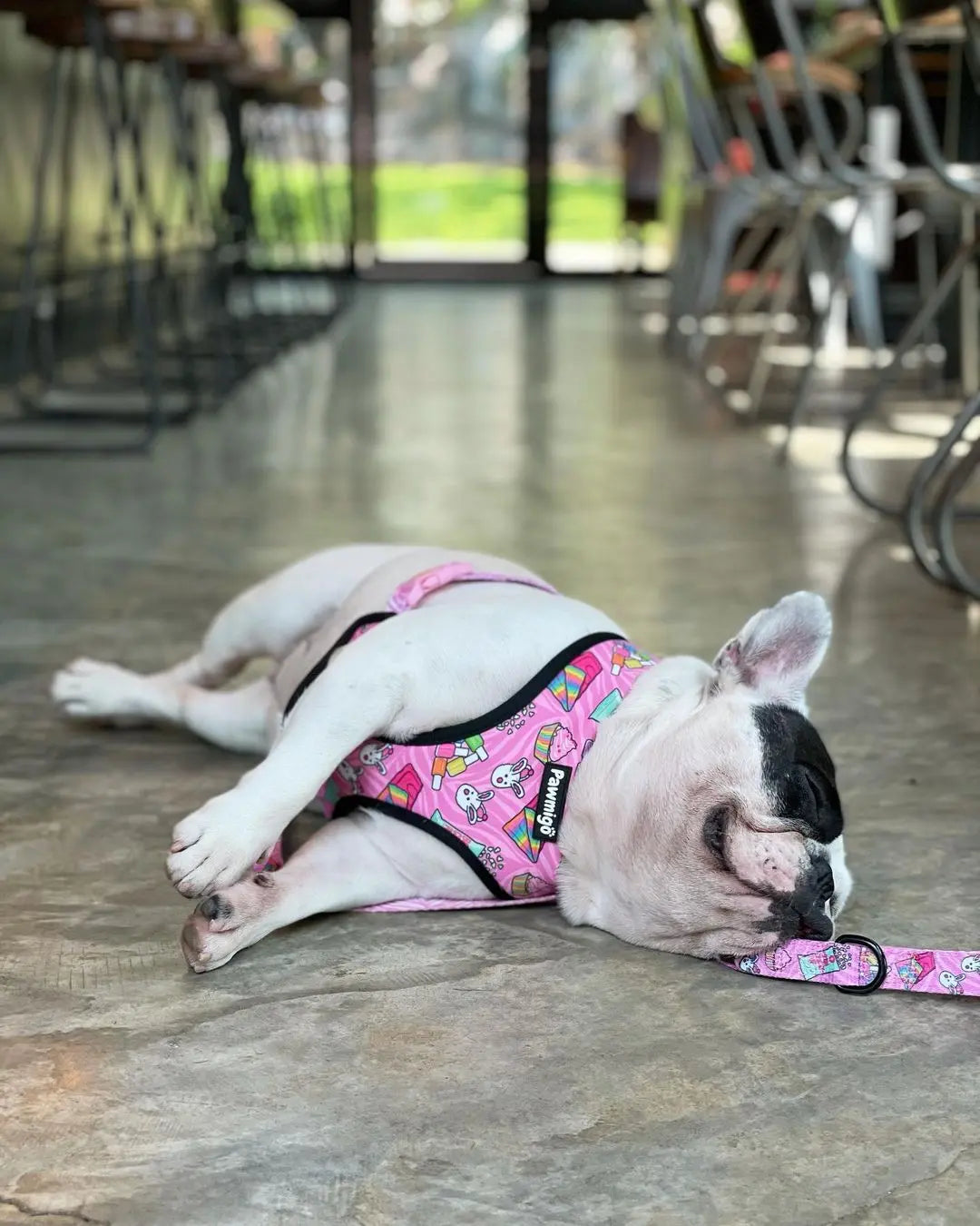 Slumber Pawty Reversible Harness Pawmigo