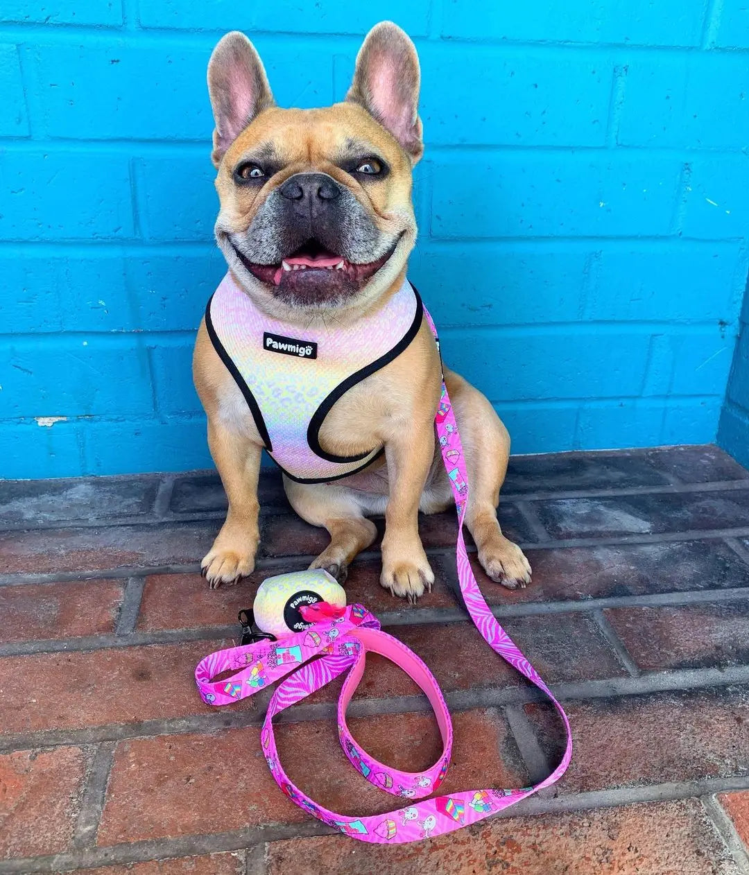 Slumber Pawty Reversible Harness Pawmigo