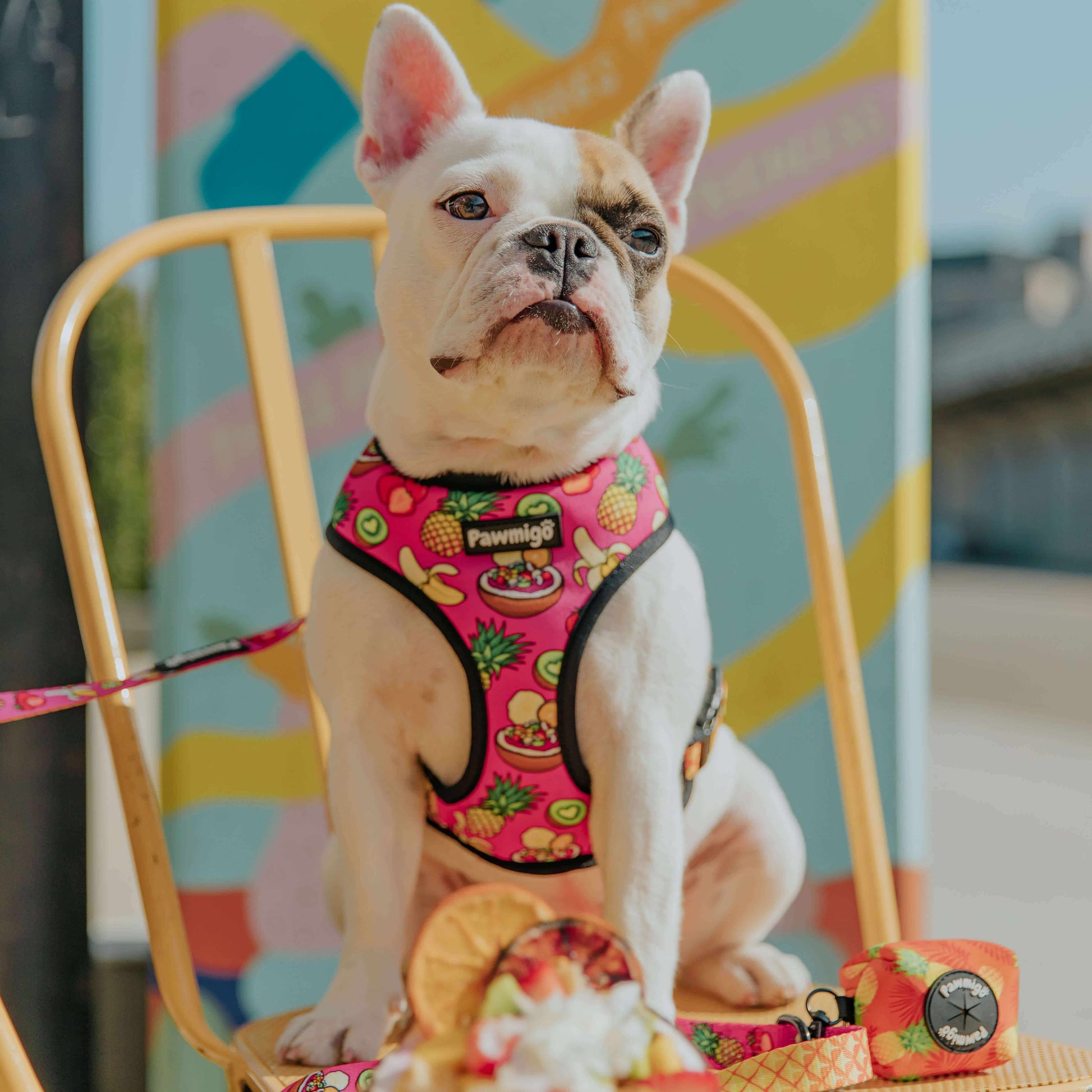 Snack Shack Reversible Harness Pawmigo