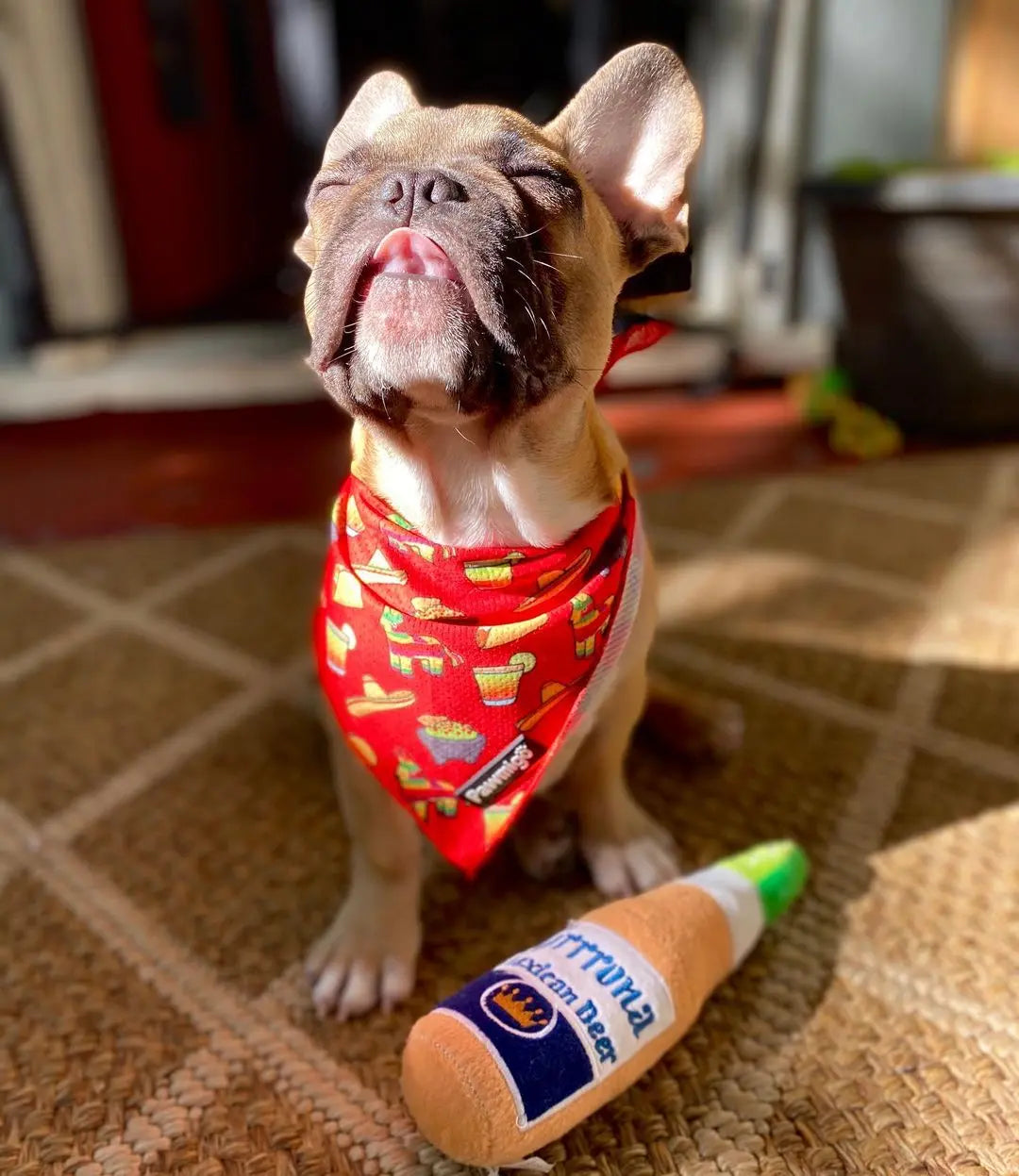 Taco Tuesday Cooling Bandana Pawmigo