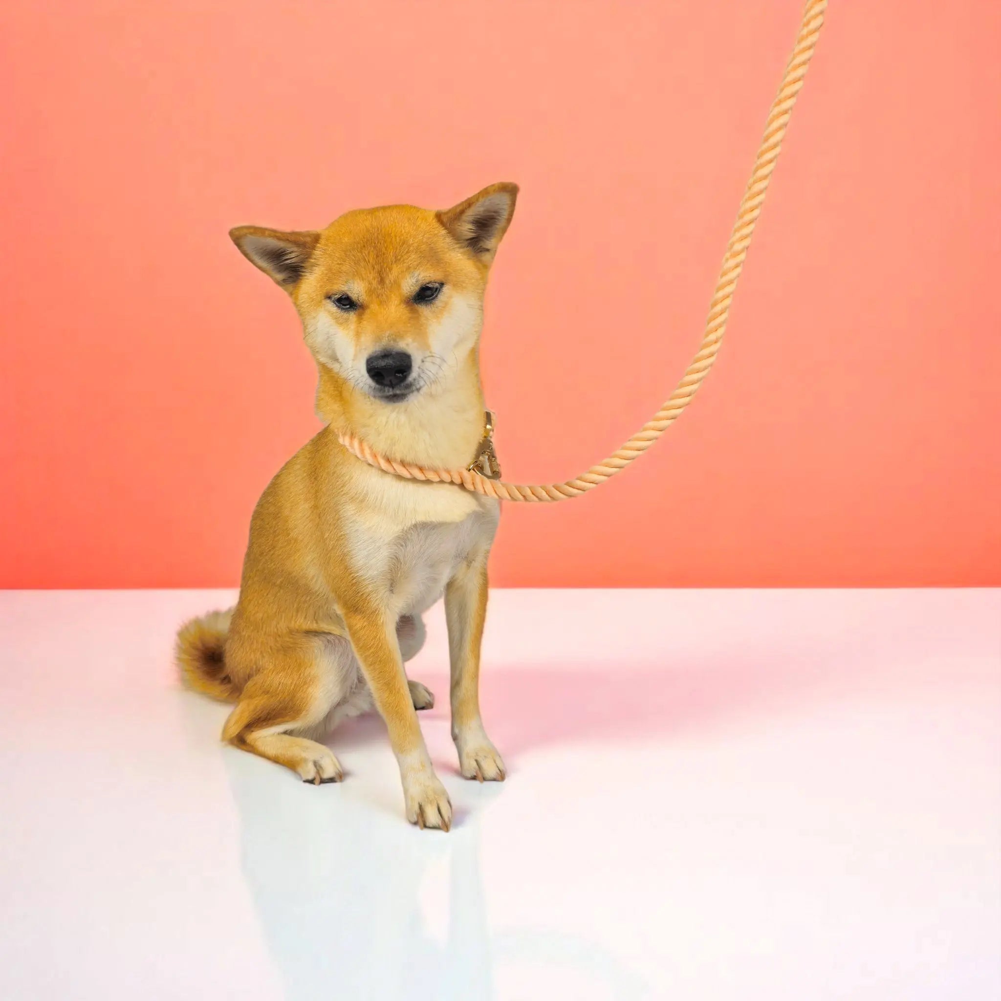 Rope Leash WOLFDOGE