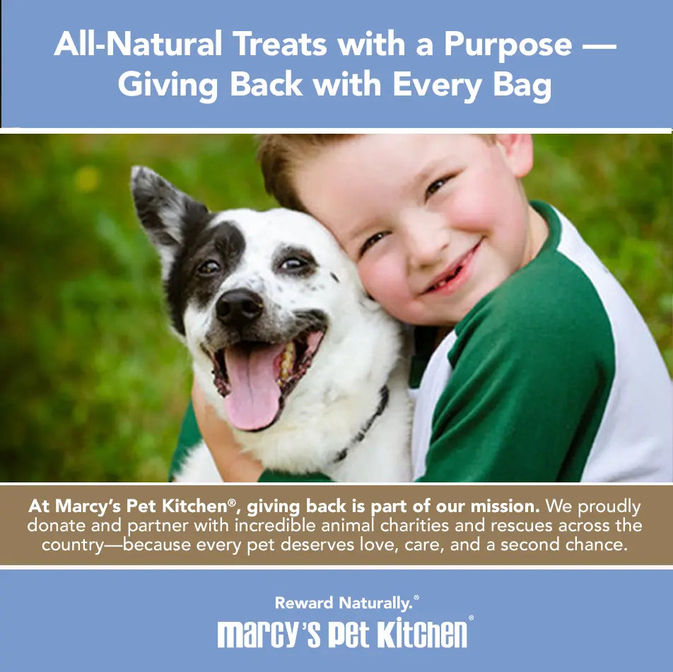 All-Natural Peanut Butter Dog Treats - Homemade-All Natural Dog Treats for Digestive Help - Gluten Free Healthy Human Grade Dog Biscuits for Sensitive Stomachs- USA Made Marcy's Pet Kitchen