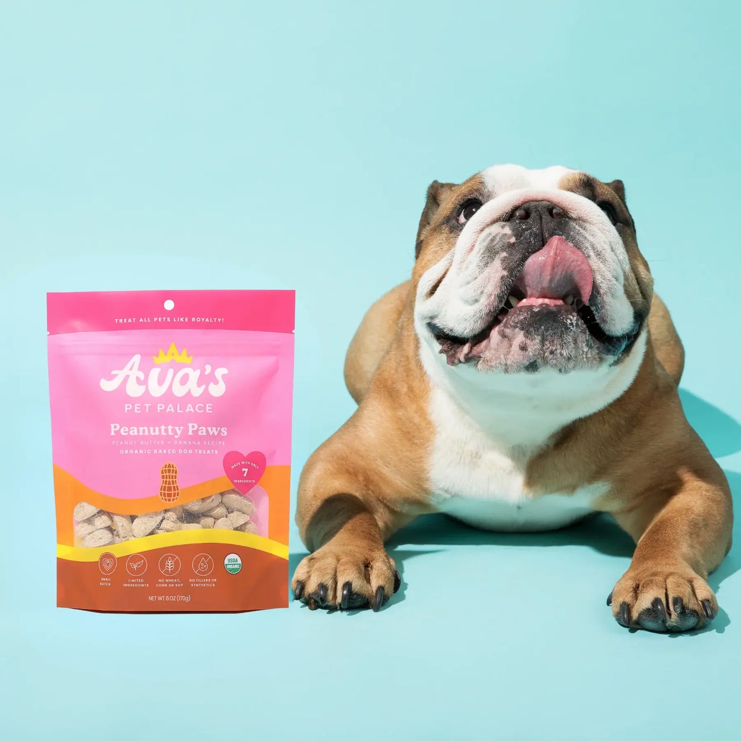 Ava's Pet Palace Organic Oven Baked Dog Treats - Peanutty Paws (6 oz) / 2-Pack American Pet Supplies