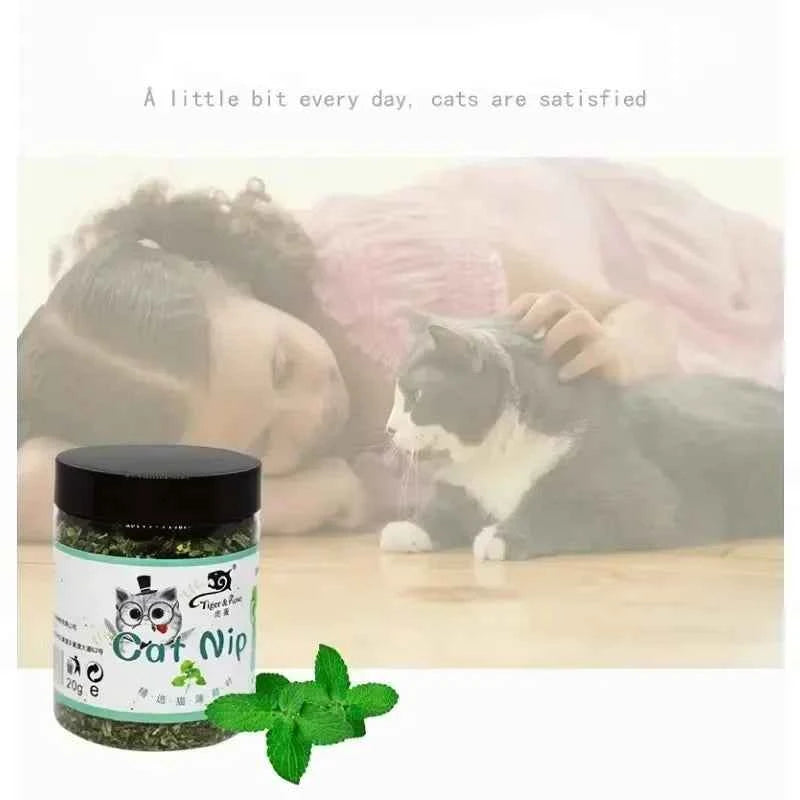 Pet Store Organic Catnip Mint Toy: Eco-Friendly Feline Fun