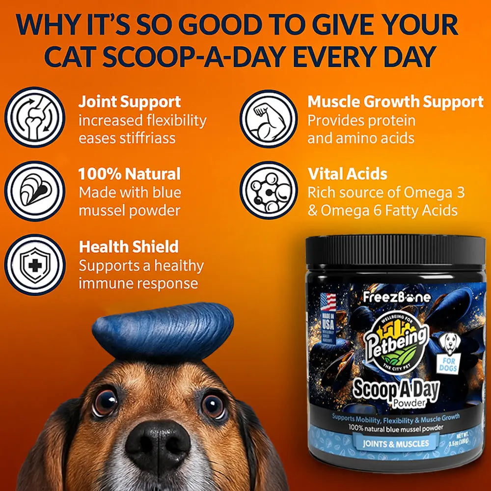 Freezbone Scoop-A-Day Joint & Mobility Powder Freezbone
