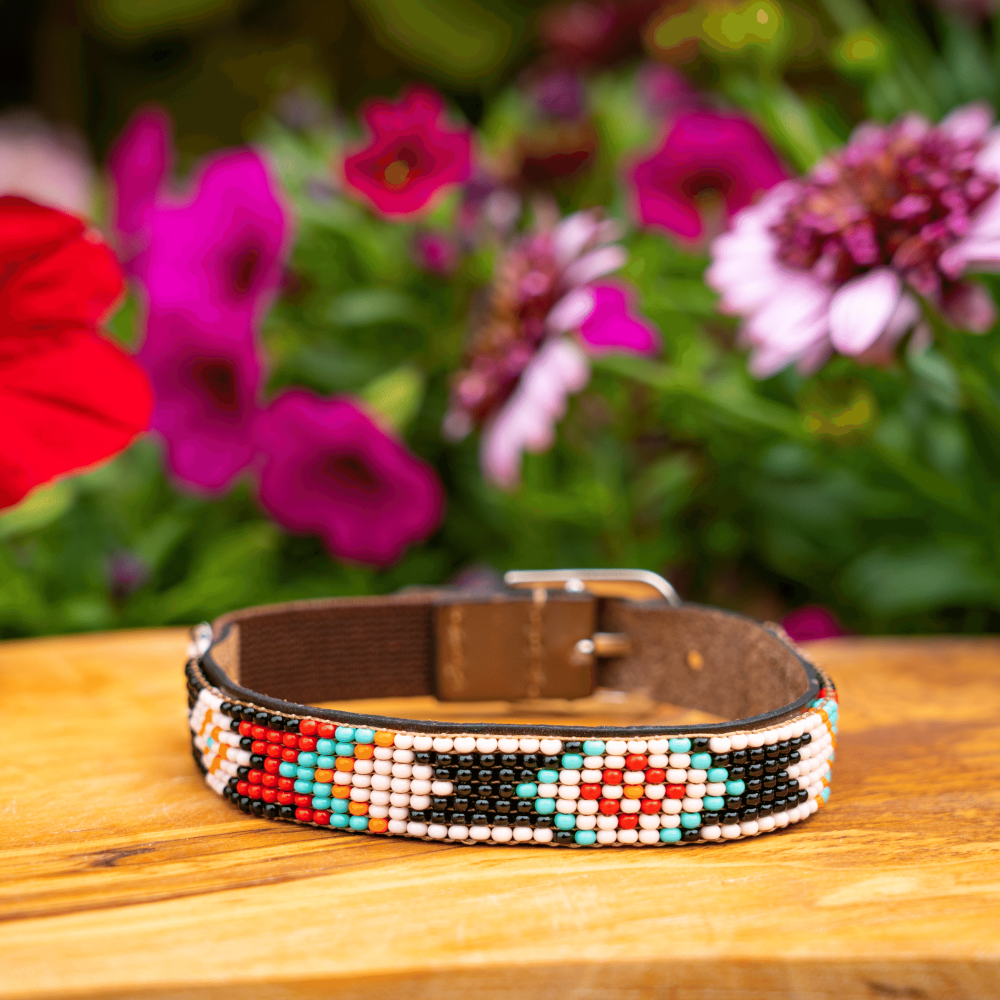 Phoenix Sambboho cat collar