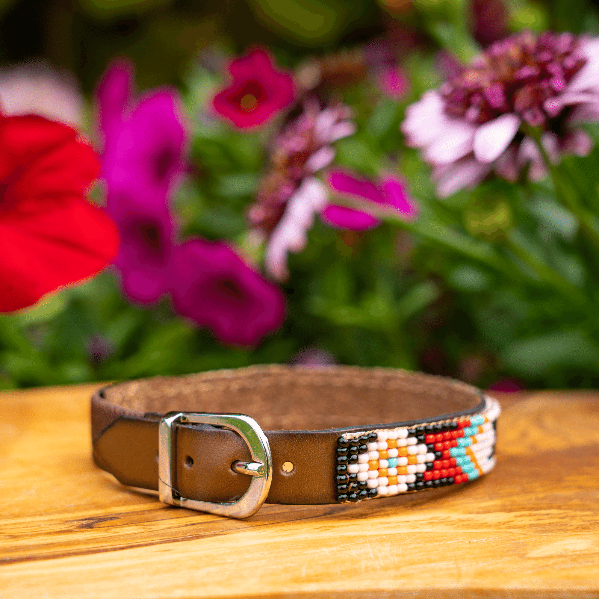 Phoenix Sambboho cat collar
