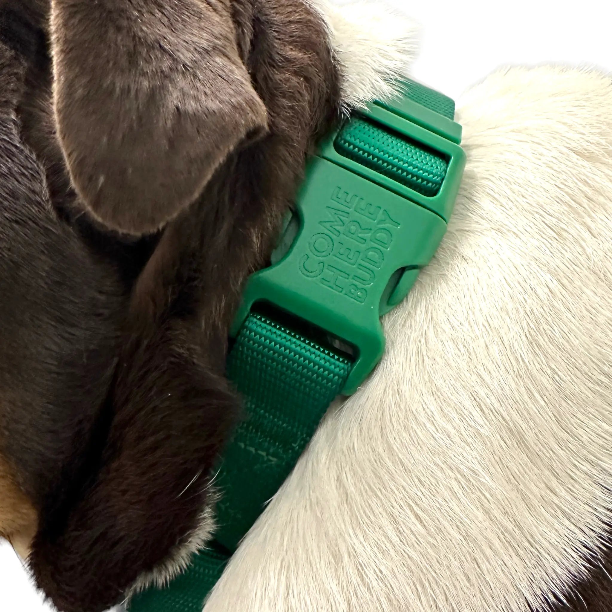 Martingale Dog Collar - K9 Outdoors