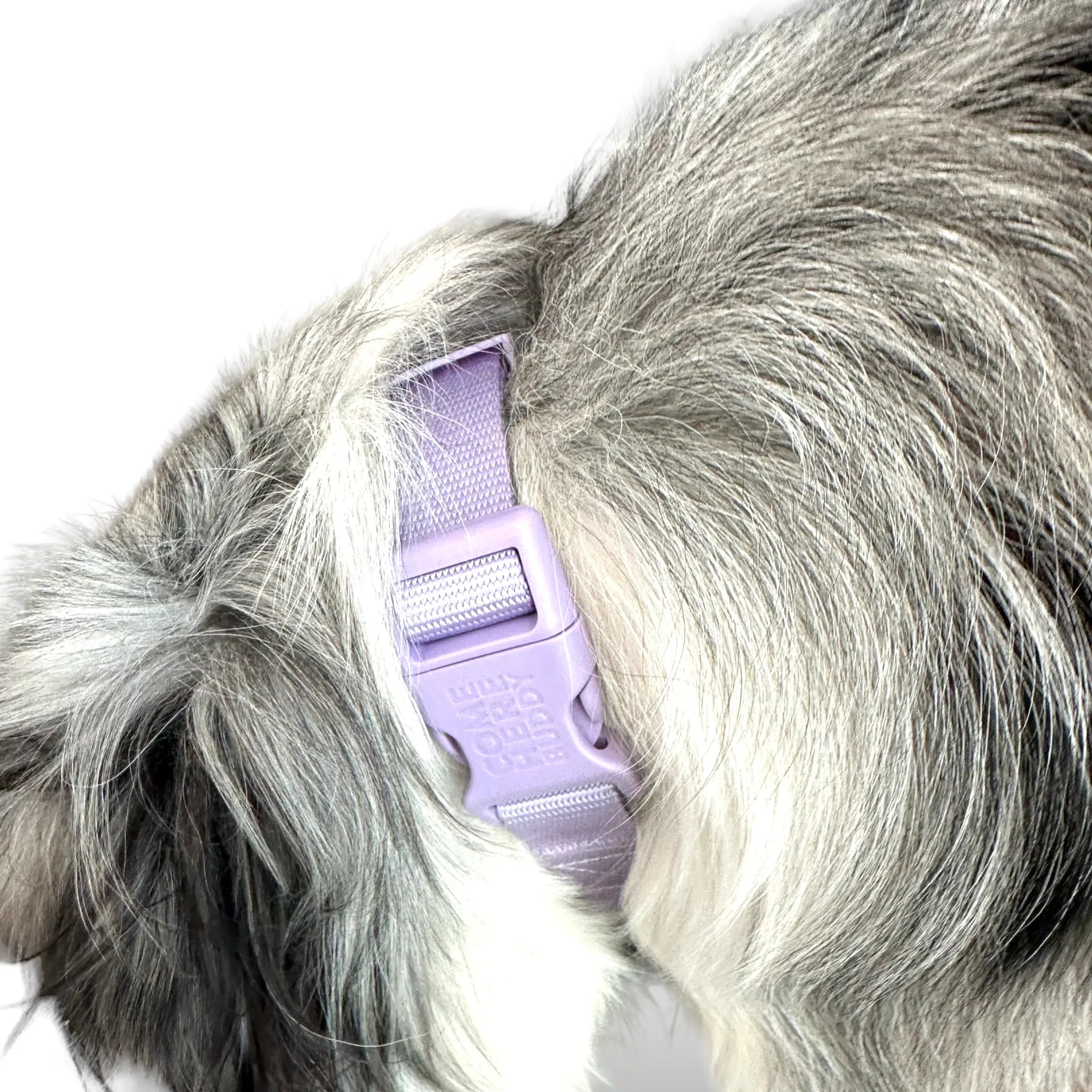 Martingale Dog Collar - K9 Outdoors