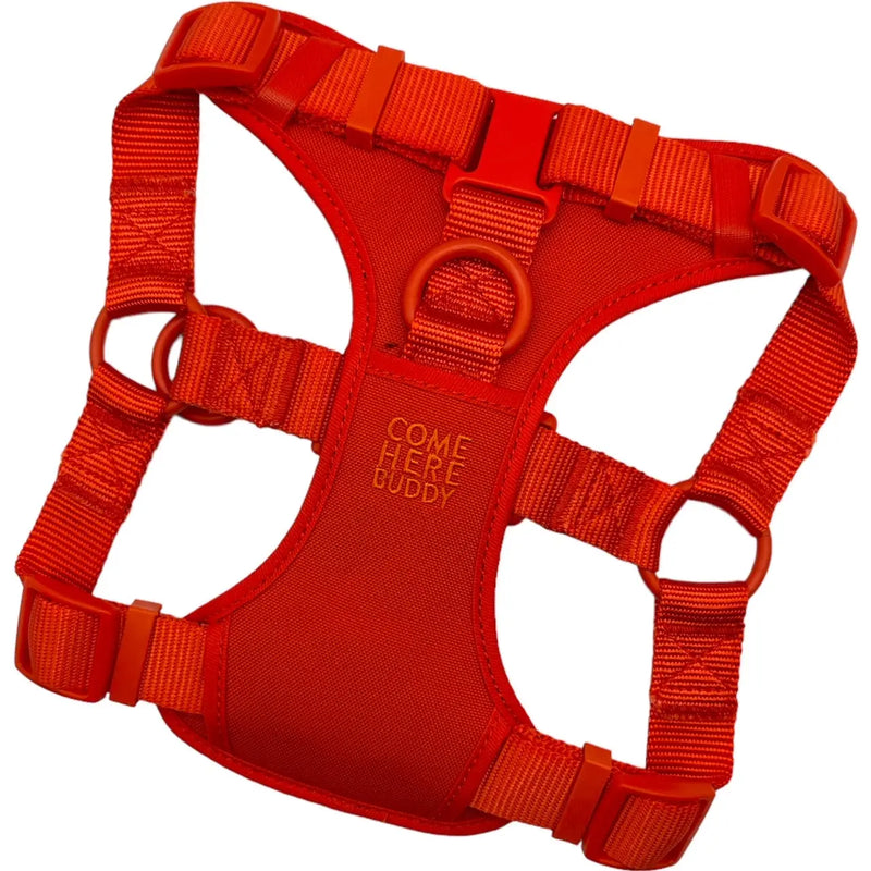 Step In Dog Harness
