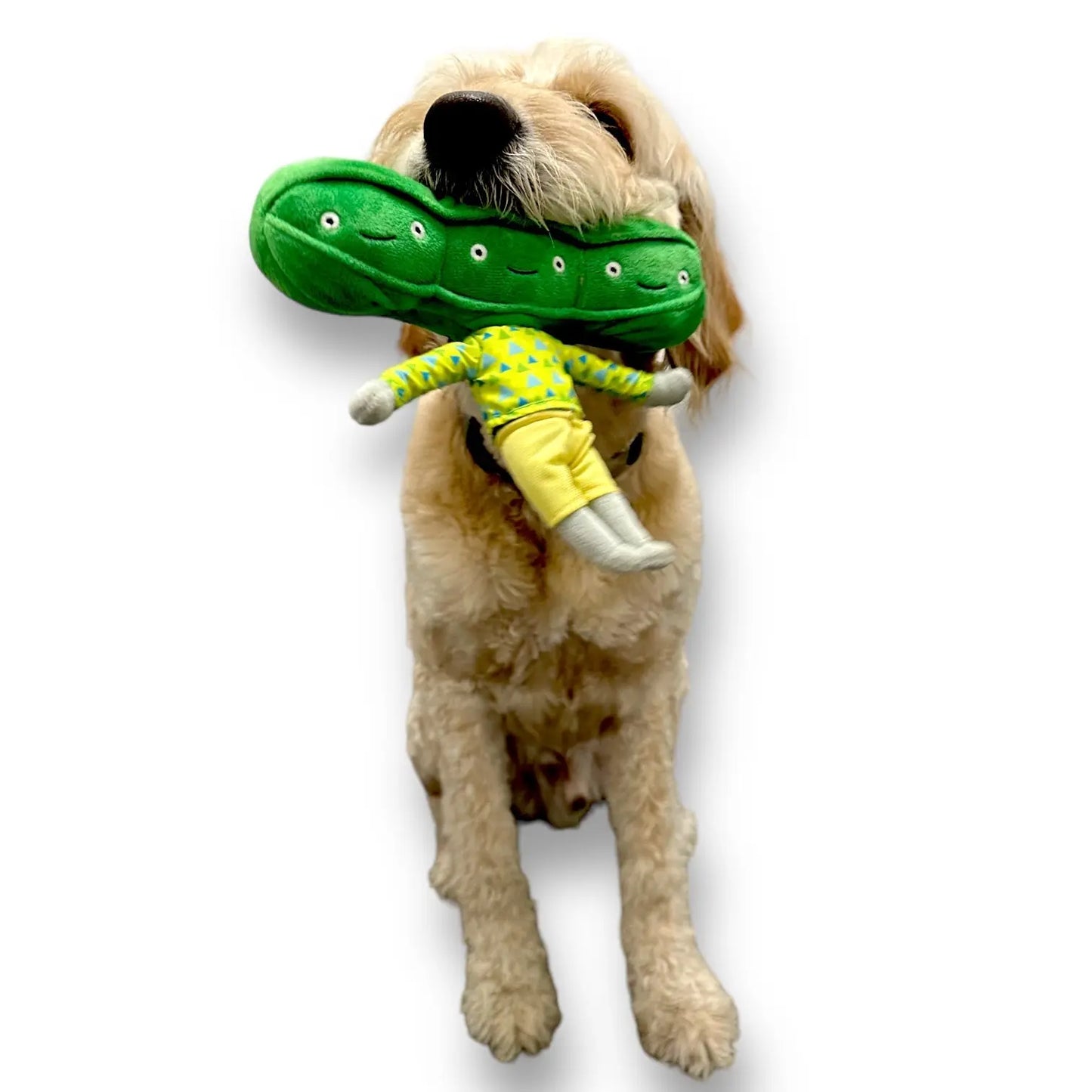 Pea Nose Work Dog Toy - K9 Outdoors