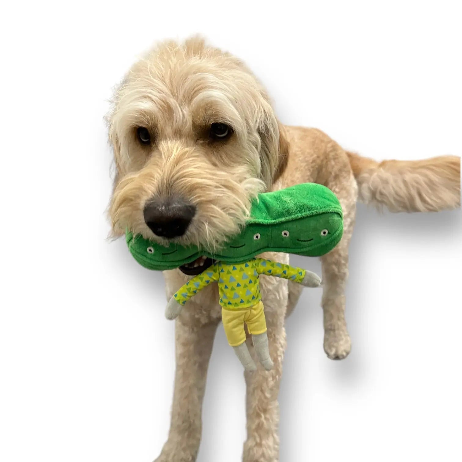 Pea Nose Work Dog Toy - K9 Outdoors