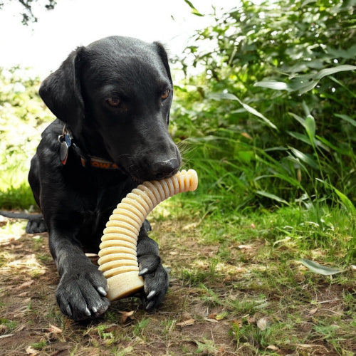 Flufflehorn Dental Antler - Indestructible Nylon Dog Chew Toy XL | USA Made