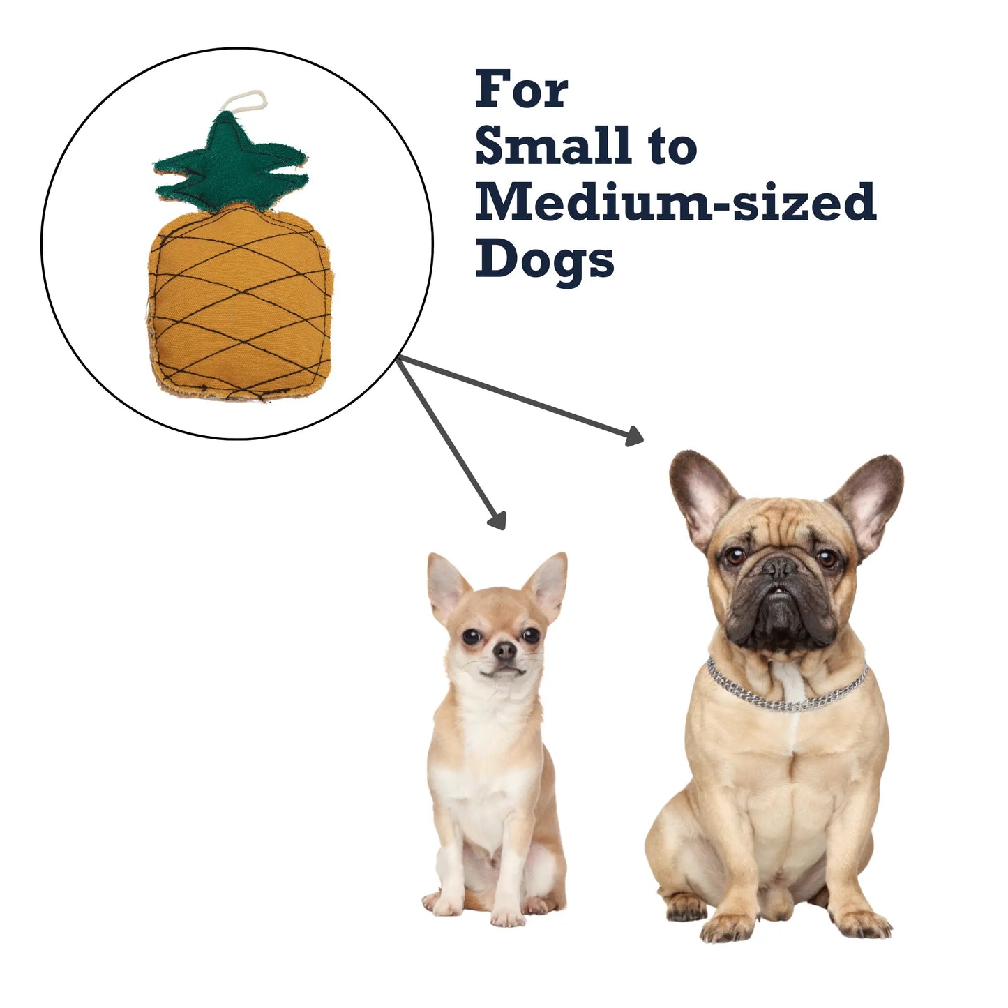 Country Living Canvas & Jute Pineapple-Shaped Dog Chew Toy – Durable, Safe and Non-Toxic American Pet Supplies