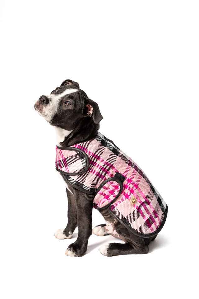 Pink Plaid Blanket Dog Coat