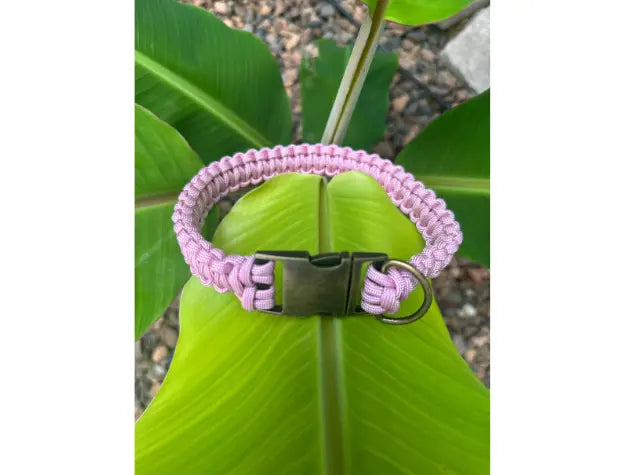 Cobra Braid in Pink & White Stripes - Handmade Dog Collar Pawsh Pup Co.