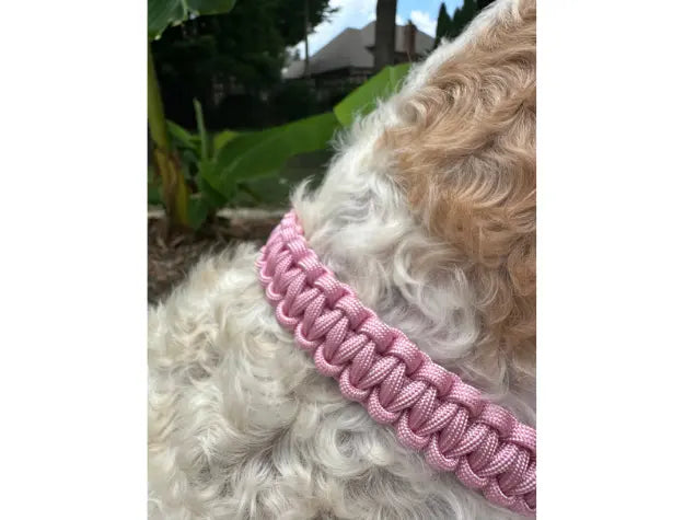 Cobra Braid in Pink & White Stripes - Handmade Dog Collar Pawsh Pup Co.