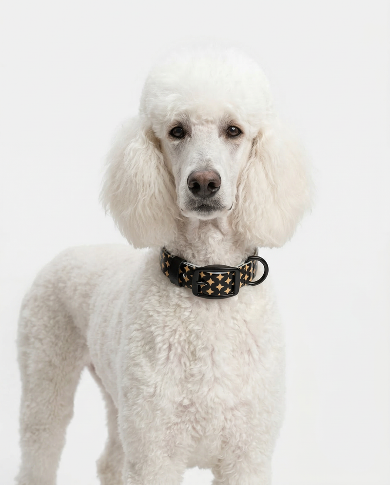 Signature Star Pattern Biothane Collar