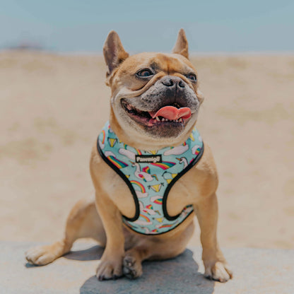 Pool Pawty Reversible Harness Pawmigo