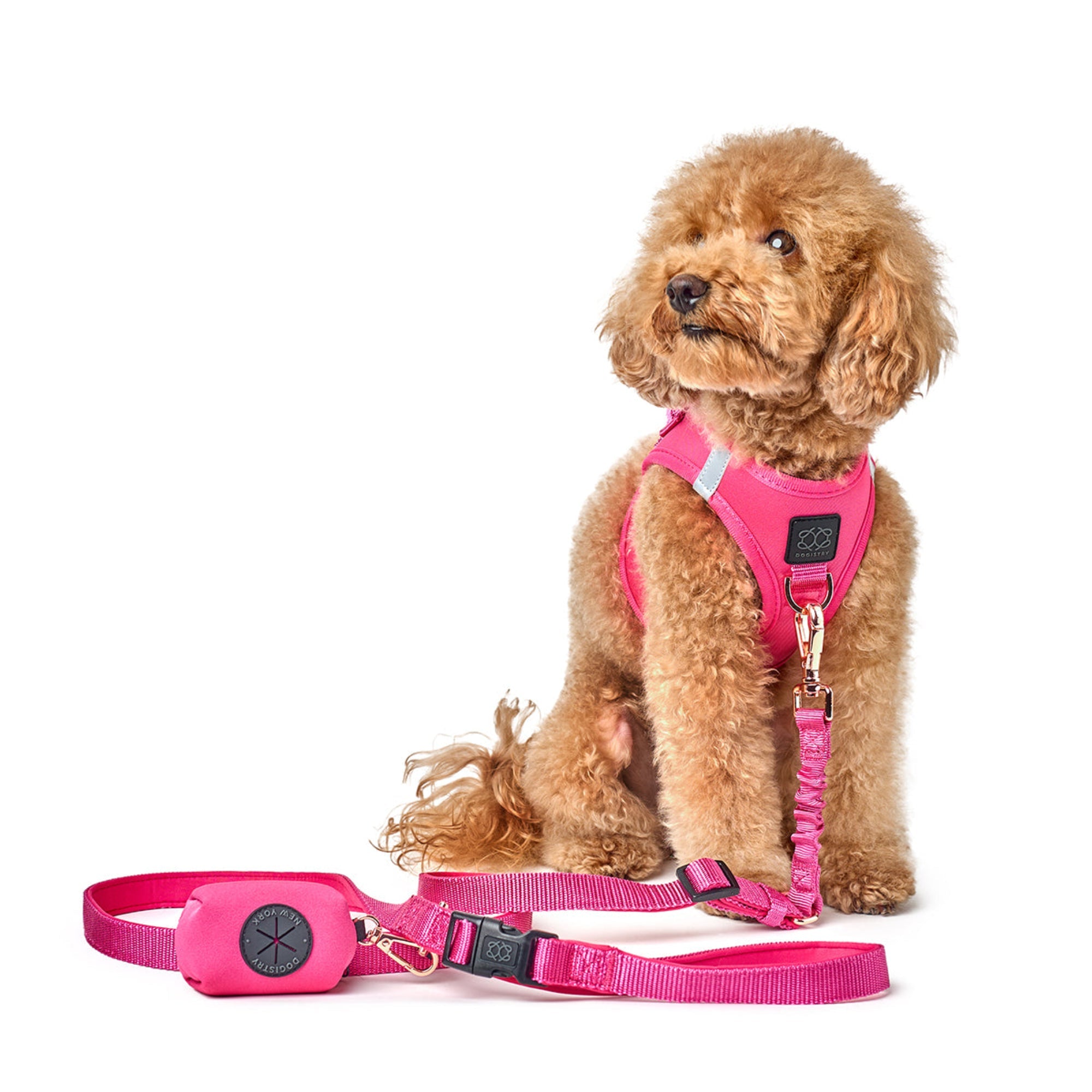 Poop Bag Holder - Park Ave Pink