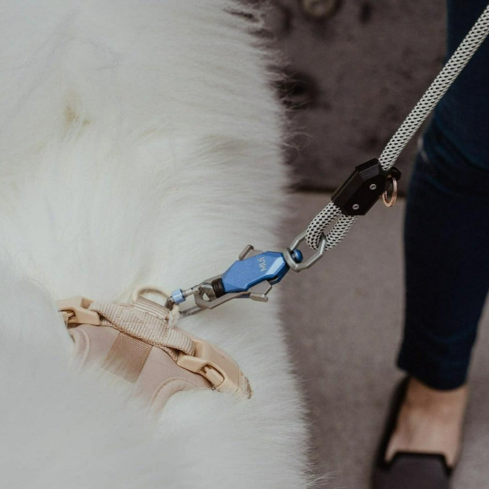 Patented Magnetic Dog Leash Up Dog Shop