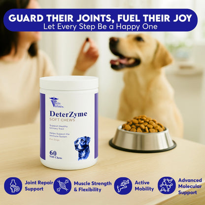 DeterZyme Stool Eating Deterrent for Dogs – 60 Soft Chews – Helps Discourage Stool Consumption – with Digestive Enzymes, Prebiotics, and Natural Herbal Blend – Supports Gut Health & Breath Freshening Horizon Animal Care