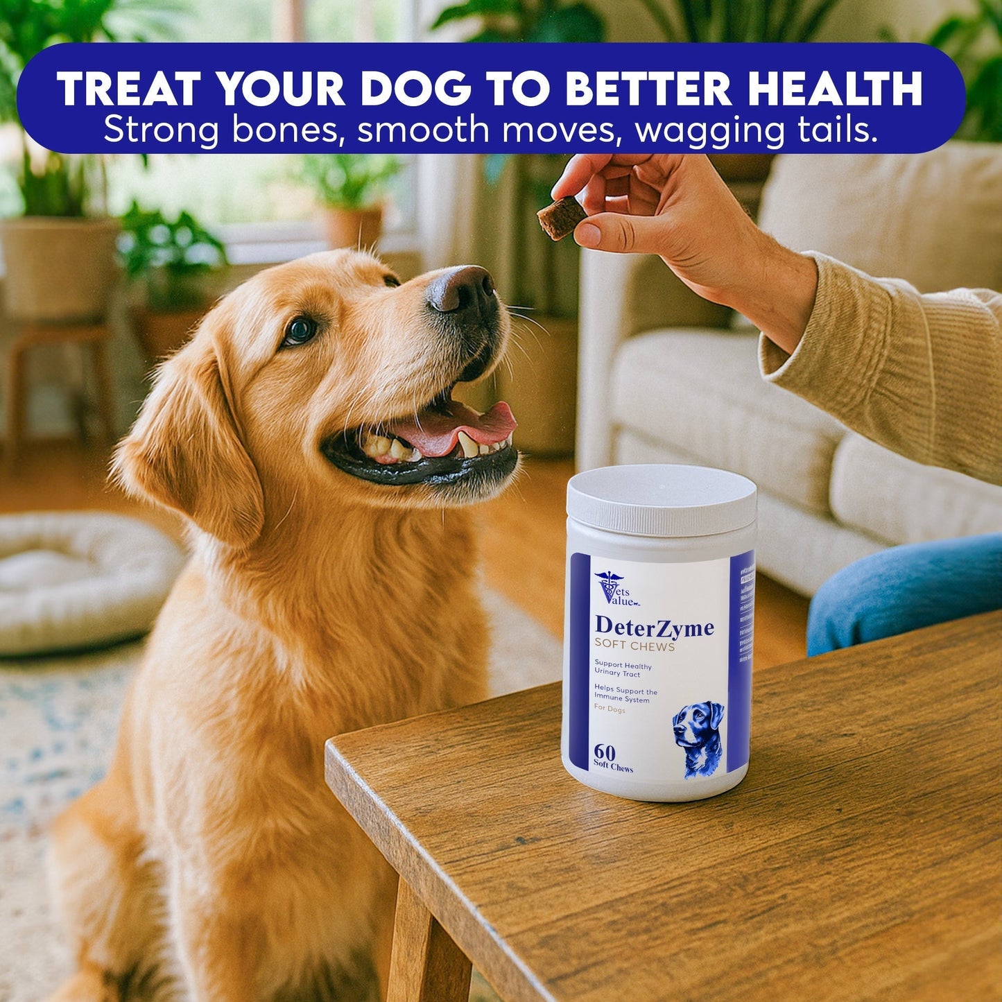 DeterZyme Stool Eating Deterrent for Dogs – 60 Soft Chews – Helps Discourage Stool Consumption – with Digestive Enzymes, Prebiotics, and Natural Herbal Blend – Supports Gut Health & Breath Freshening Horizon Animal Care