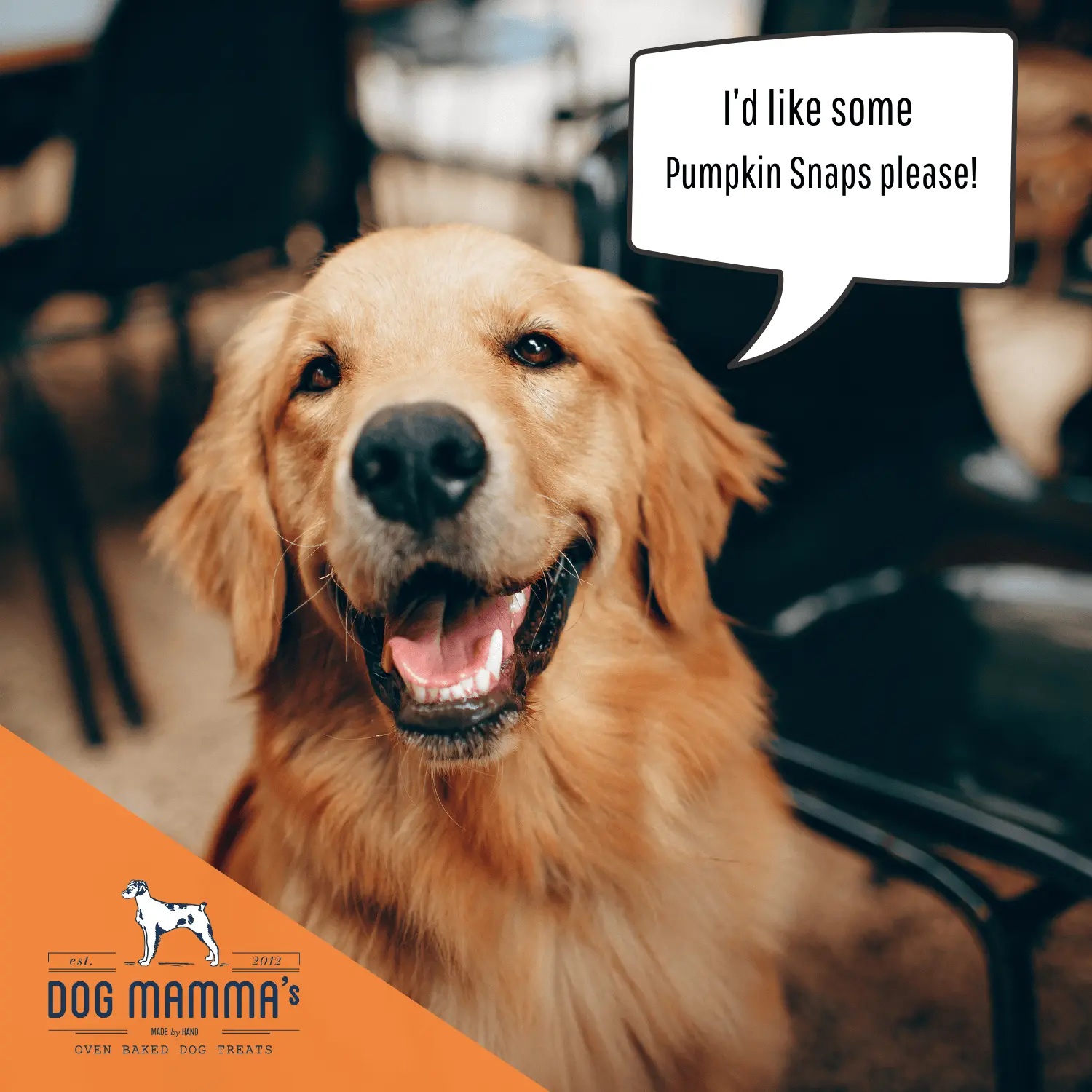 Dog Mamma's Organic Pumpkin Snaps Recipe- USDA Organic Certified Dog Treats Dog Mamma's Organic Dog Treats