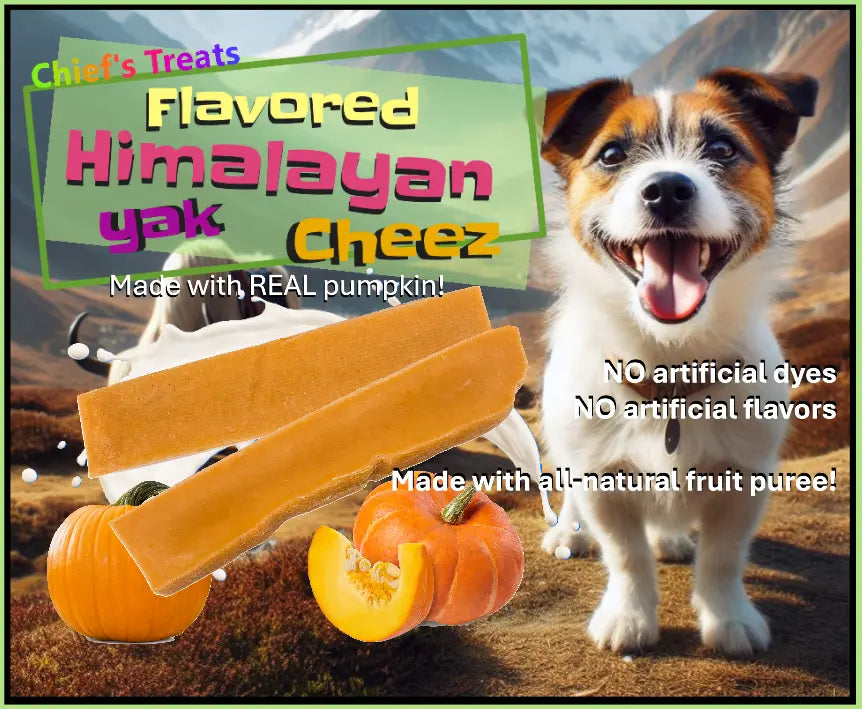 Pumpkin Flavored Yak Cheese Chew - made with REAL PUMPKIN Puree - Single Chief’s Treats and Pet Supplies