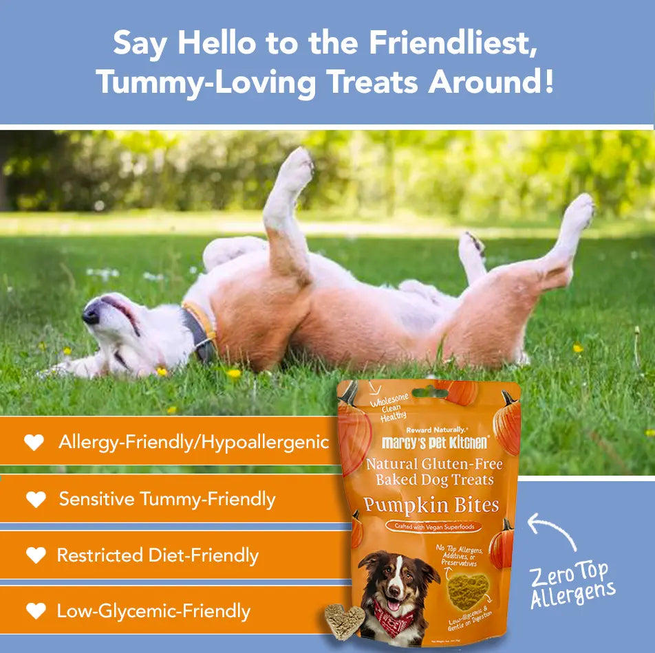 Marcy's Pet Kitchen- All Natural, Vegan Pumpkin Biscuit Dog Treats - Homemade-Vet Approved- Vegan, Gluten Free, Human Grade Ingredients, Made in The USA, Healthy Pumpkin Dog Treats Marcy's Pet Kitchen