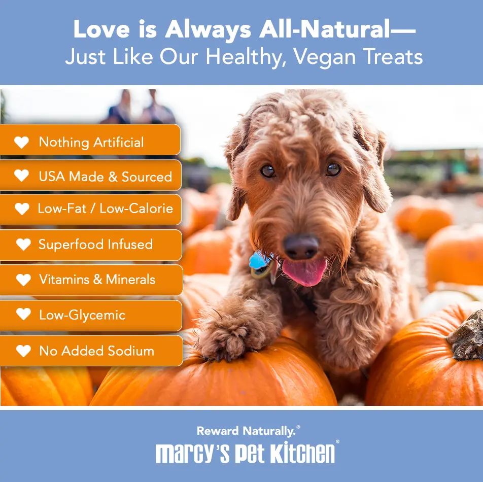 Marcy's Pet Kitchen® - 'On-The-Go' All-Natural, Vegan Pumpkin Biscuit 1oz Marcy's Pet Kitchen