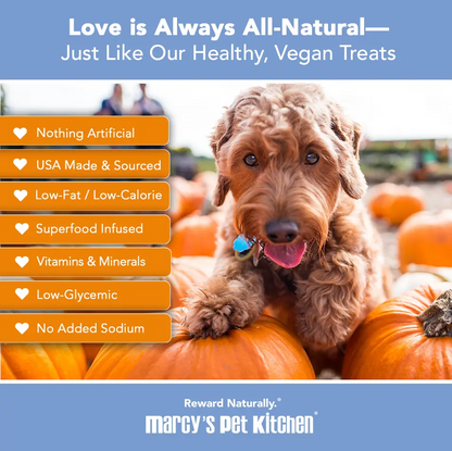 Marcy's Pet Kitchen- All Natural, Vegan Pumpkin Biscuit Dog Treats - Homemade-Vet Approved- Vegan, Gluten Free, Human Grade Ingredients, Made in The USA, Healthy Pumpkin Dog Treats Marcy's Pet Kitchen