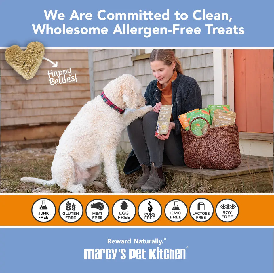 Marcy's Pet Kitchen- All Natural, Vegan Pumpkin Biscuit Dog Treats - Homemade-Vet Approved- Vegan, Gluten Free, Human Grade Ingredients, Made in The USA, Healthy Pumpkin Dog Treats Marcy's Pet Kitchen