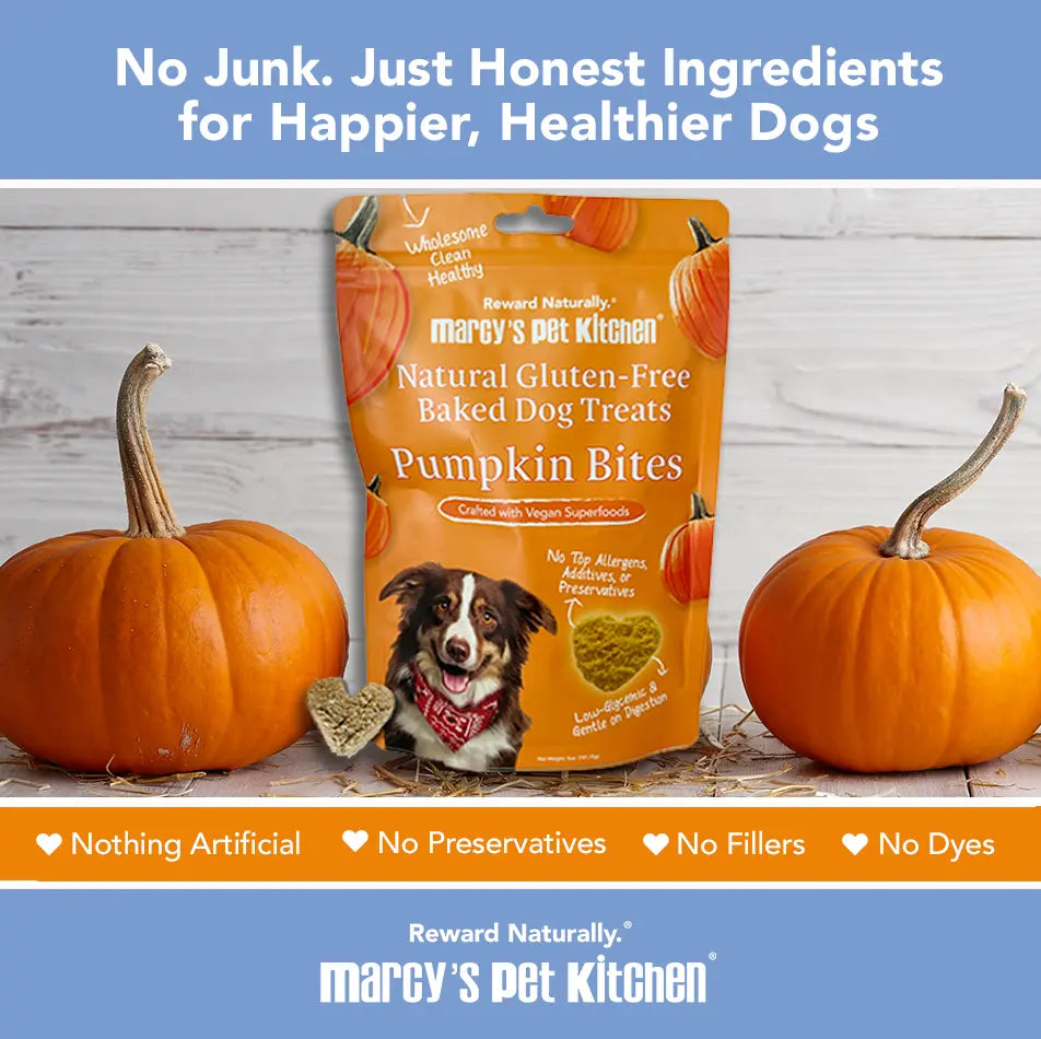 Marcy's Pet Kitchen- All Natural, Vegan Pumpkin Biscuit Dog Treats - Homemade-Vet Approved- Vegan, Gluten Free, Human Grade Ingredients, Made in The USA, Healthy Pumpkin Dog Treats Marcy's Pet Kitchen