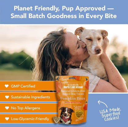 Marcy's Pet Kitchen- All Natural, Vegan Pumpkin Biscuit Dog Treats - Homemade-Vet Approved- Vegan, Gluten Free, Human Grade Ingredients, Made in The USA, Healthy Pumpkin Dog Treats Marcy's Pet Kitchen