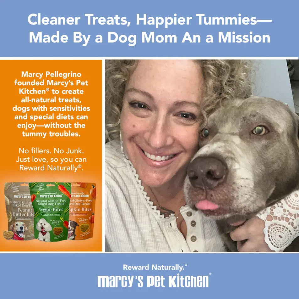 Marcy's Pet Kitchen- All Natural, Vegan Pumpkin Biscuit Dog Treats - Homemade-Vet Approved- Vegan, Gluten Free, Human Grade Ingredients, Made in The USA, Healthy Pumpkin Dog Treats Marcy's Pet Kitchen