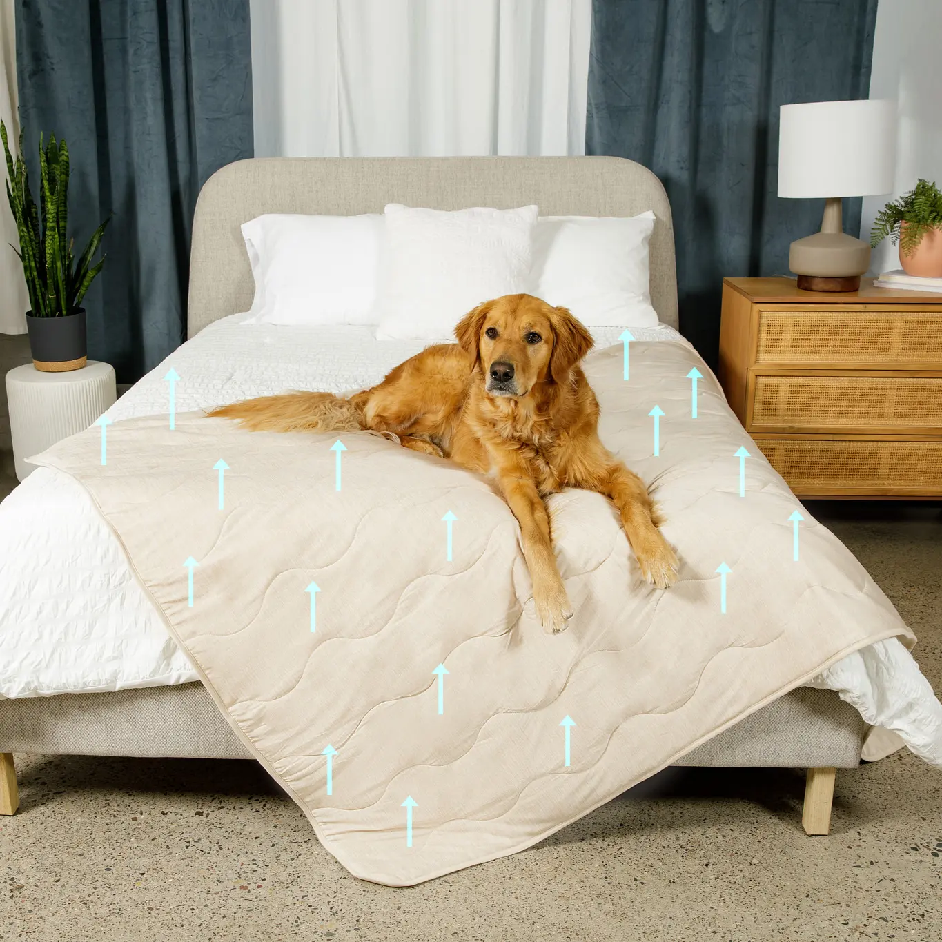 PupChill™ Cooling Waterproof Blanket - Arctic Sand Paw.com