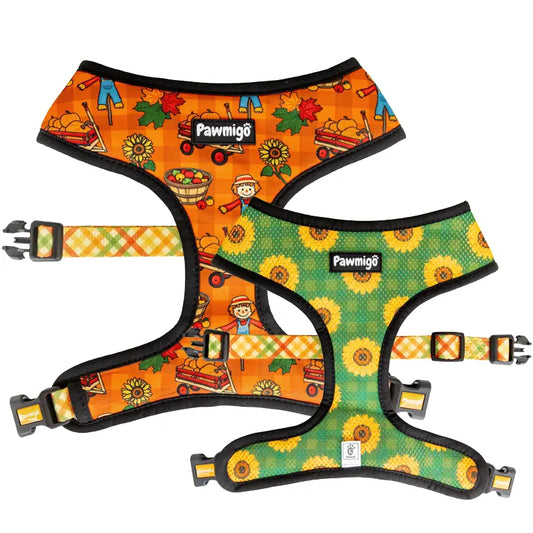 Pupkin Patch Reversible Harness Pawmigo