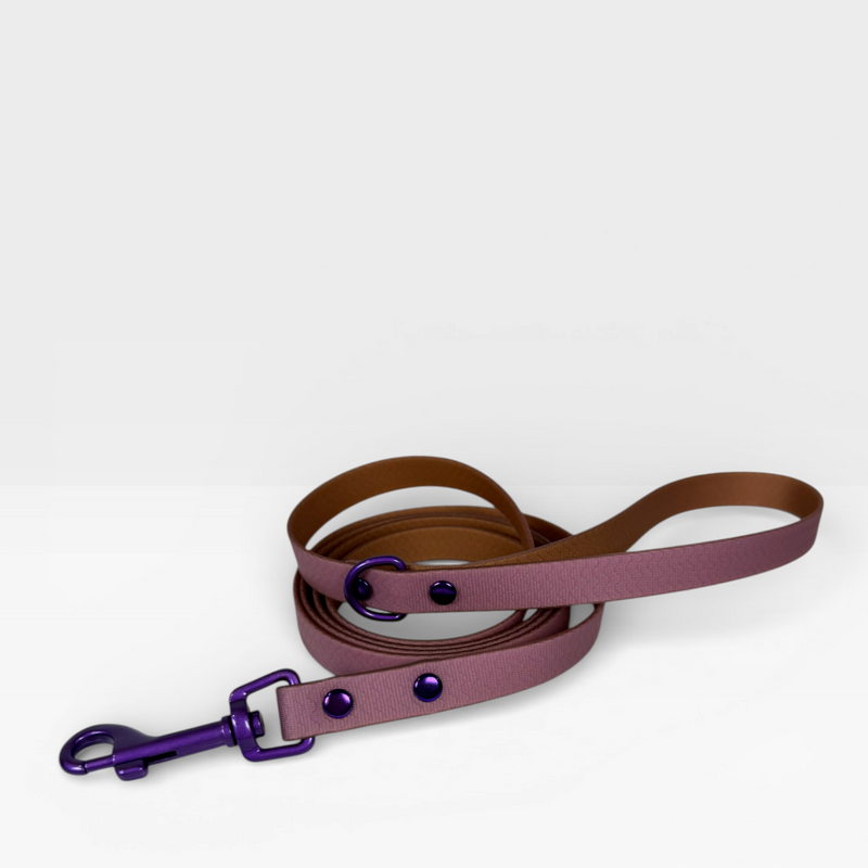 Blue Jelly Leash - Waterproof Leash for Small Dogs