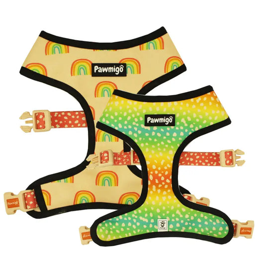Chasing Rainbows Reversible Harness Pawmigo