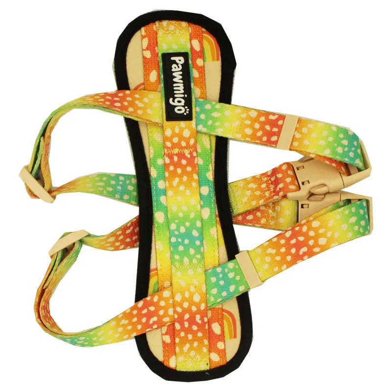 Chasing Rainbows X-Fit Harness Pawmigo