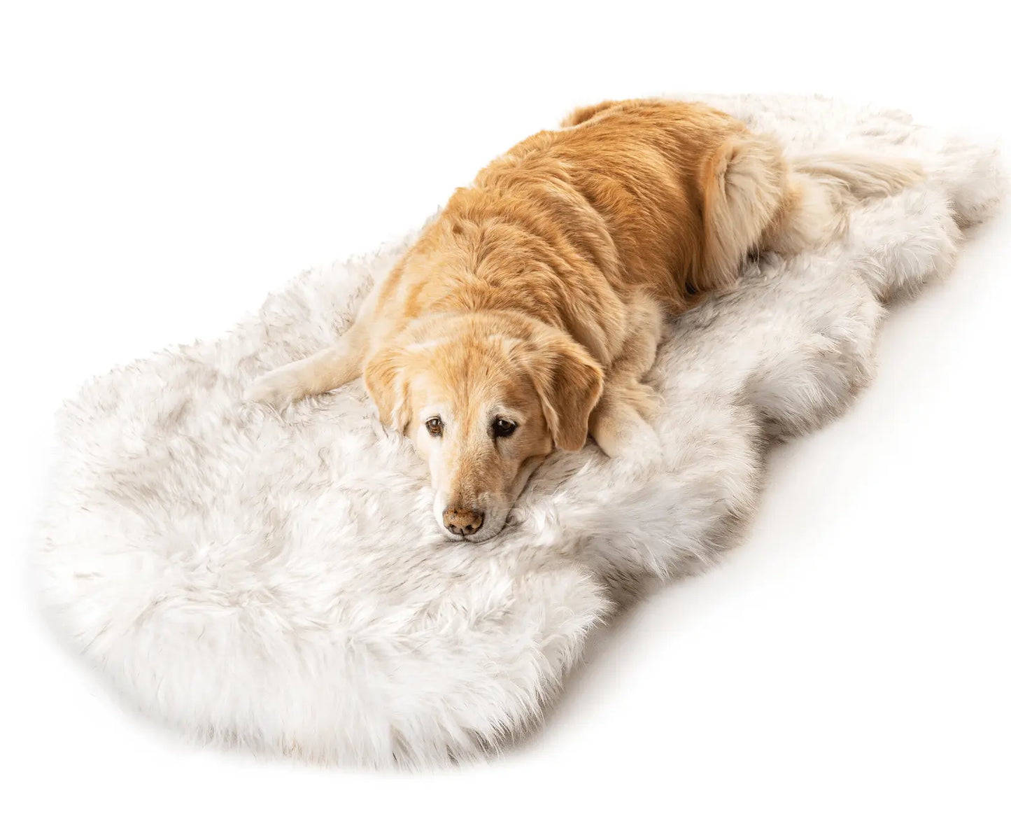 PupRug™ Runner Faux Fur Memory Foam Dog Bed - Curve White with Brown Accents Paw.com