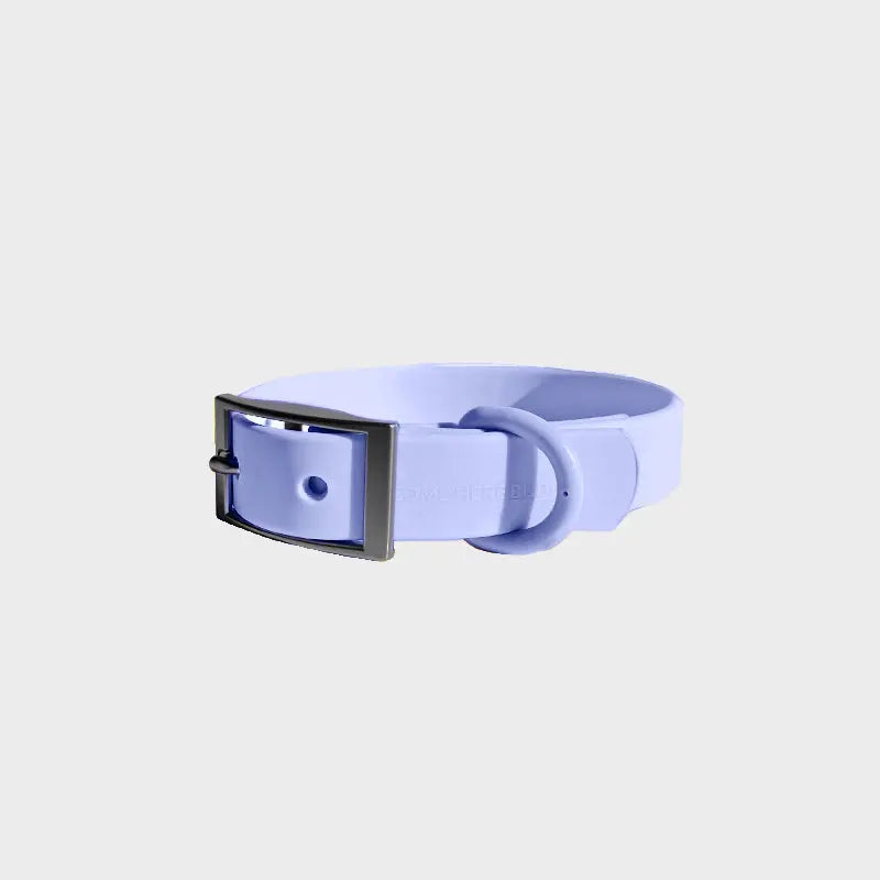 Everyday Collar - K9 Outdoors