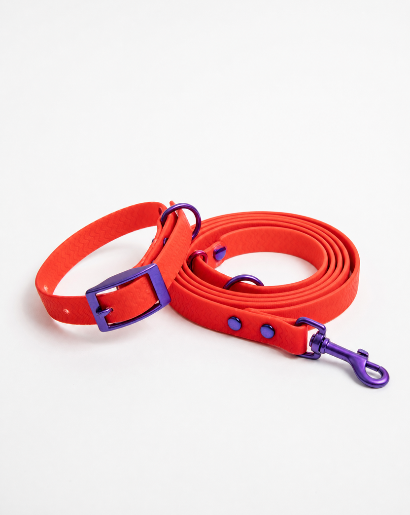 Jelly Waterproof Collar and Leash Set for Small Dogs (4 Colors)