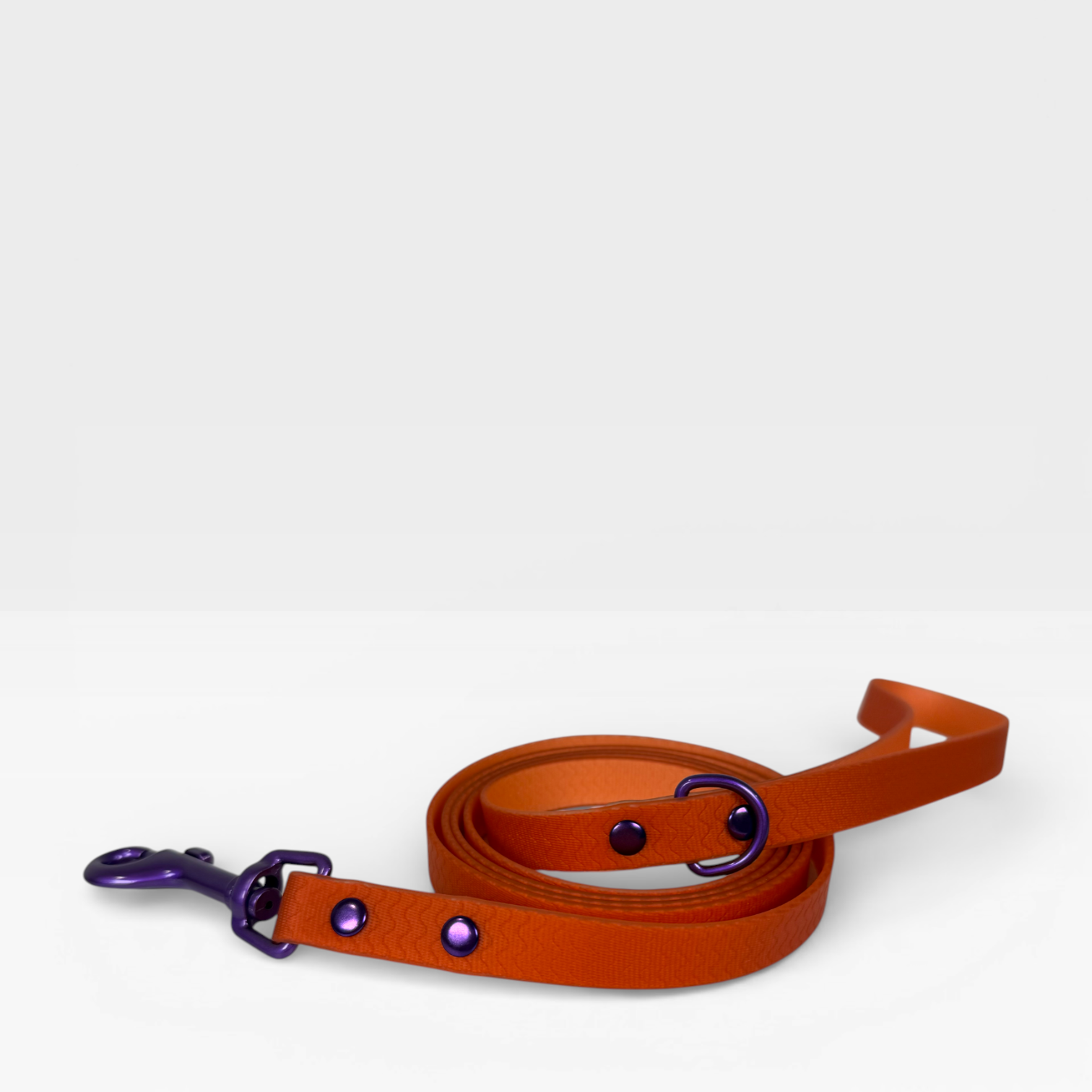 Blue Jelly Leash - Waterproof Leash for Small Dogs