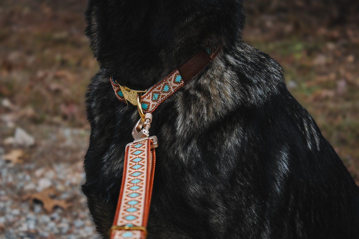 Southwest Spirit Leash WOLFDOGE