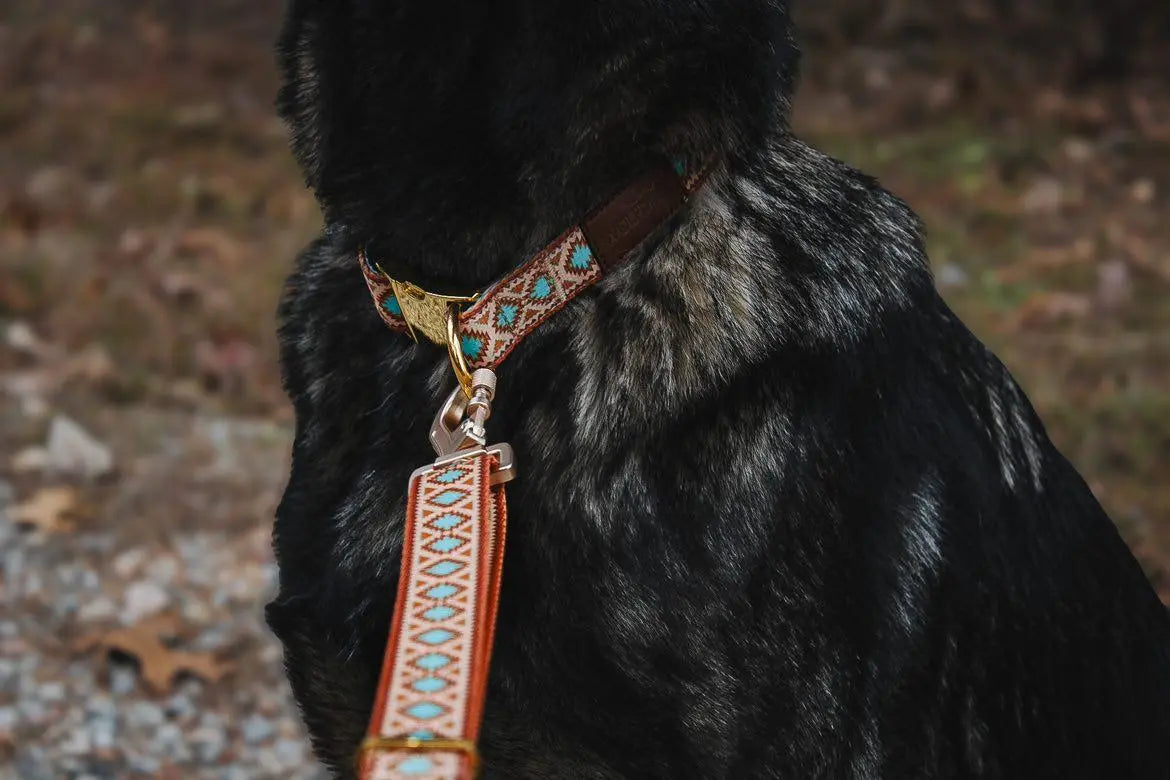Southwest Spirit Leash