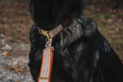 Southwest Spirit Leash WOLFDOGE