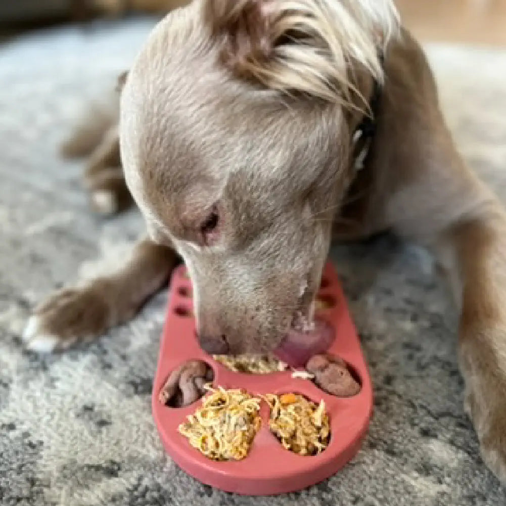 FreezPaw Mat -  Calming Slow Feeder Freezbone