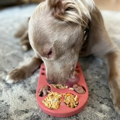 FreezPaw Mat -  Calming Slow Feeder Freezbone